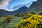 Ireland´s highest mountain, Corran Thuthail, capped by cloud, with the Hags tooth to the left, Magillycuddy Reeks, County Kerry, Ireland.