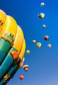 Hot air balloons brighten the blue morning sky in a colorful display of flight.