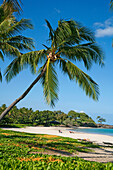Hawaii, Big Island, Kohala Coast, Mauna Kea Resort, Mauna Kea Beach (Kauna'oa Beach).