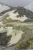 Travelers Explore A Ridge Of Ice Coloured By Bacterial Growth On Petermann Island, Antarctica