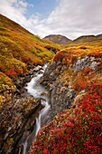 Small Stream Through The Fall Colored Tundra In Hatcher Pass, Southcentral, Alaska