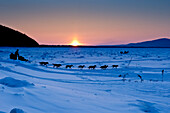 Dallas Seavey Drops Down The Bank Onto The Yukon River Shortly After Leaving The Village Checkpoint Of Ruby At Sunset In Interior Alaska During The 2010 Iditarod