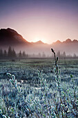 Morning Fog Hangs On The Ground Near The Copper River Highway As The Sun Rise Over The Chugach Mountains, Chugach National Forest, Southcentral Alaska, Spring. Hdr