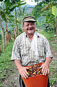 A man called Efrain picking coffee near the hostal Villa Maria a few miles away from Pereira. Risaralda province, Colombia.