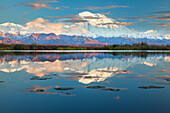 Mt McKinley reflects in a small tundra pond with lily pads, sunset in Denali National Park, Alaska.