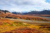 Autumn scenic of colorful tundra and the snowcapped Alaska Range in Denali National Park, Interior Alaska