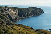 'Cliffs along the atlantic coastline; Twillingate, Newfoundland and Labrador, Canada'