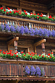 'Wooden alpine balconies with colourful flower boxes; Tux-Lanersbach, Austria'