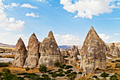 'Fairy Chimneys in Rose Valley; Cappadocia, Turkey'