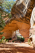 'A male hiker photographs the rock bridge named Kachina in the Natural Bridges National Monument; Utah, United States of America'