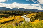 Yellows in the valley and reds in the Chugach Mountains adorn the Matanuska River and valley in autumn in Southcentral Alaska. Afternoon.
