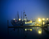'The docks are lit before daylight; Charleston, Oregon, United States of America'