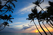 'Palm trees at sunset, Keawekapu Beach; Maui, Hawaii, United States of America'