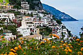 'Amalfi Coast, with wildflowers in the foreground; Positano, Italy'