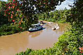 Klotok river boat on the Sekonyer River, Tanjung Puting National Park, Central Kalimantan, Borneo, Indonesia