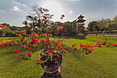 Bougainvillea by the outer wall of the Royal Water Temple Pura Taman Ayun, Mengwi, Bali, Indonesia