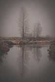 A group of trees reflected in a river on a foggy morning.