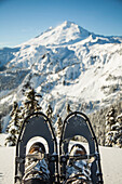 A pair of snowshoe's with Mount Baker in the background.