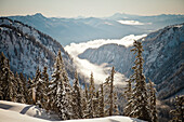 Landscape of low lying clouds sitting in a valley below Mount Baker during winter in Washington.