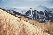 Adult male trail running through a grassy trail high in the mountains above Telluride Colorado on a beautiful spring afternoon.