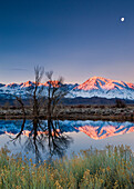 Full moon and mountains reflected in an Eastern Sierra pond at sunrise