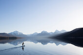 A man stand up paddle boards (SUP) on a calm Lake McDonald at sunrise in Glacier National Park near West Glacier, Montana.