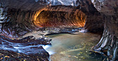 Light filters into the Subway (in the Left for of North Creek) in Zion National Park near Springdale Utah.