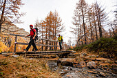 Two boys crossing a bridge while hiking in Devero National Park, Ossola, Italy.