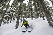 Back country skier in the trees near Stevens Pass, Washington