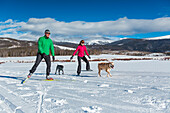 Man and Woman cross country ski with dogs.