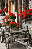 'A wooden cart with barrels full of red flowers next to a stone building with full flower boxes; Lanserbach, Austria'