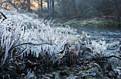 'Ice forms near a waterfall; Olney, Oregon, United States of America'