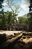 'A temple emerges from the Cambodian jungle in the Angkor Wat temple complex; Siem Reap, Cambodia'