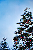 'Decorated Christmas tree covered in snow; Anchorage, Alaska, United States of America'