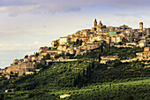 'City on a hilltop with fields of crops below; Trevi, Umbria, Italy'