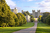 The Long Walk with Windsor Castle in the background, Windsor, Berkshire, England, United Kingdom, Europe