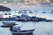 View of harbour at dawn, Samana, Eastern Peninsula de Samana, Dominican Republic, West Indies, Caribbean, Central America