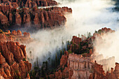 Pinnacles and hoodoos with fog extending into clouds of a partial temperature inversion, Bryce Canyon National Park, Utah, United States of America, North America