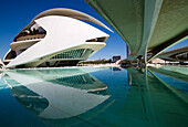 El Palau de les Arts Reina Sofia at the City of Arts and Sciences (Ciudad de las Artes y las Ciencias), Valencia, Spain, Europe