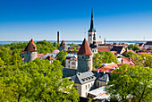 Medieval town walls and spire of St. Olav's church, Toompea hill, UNESCO World Heritage Site, Estonia, Baltic States, Europe