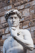 The David, by Michelangelo, Palazzo Vecchio, Piazza Signoria, Florence (Firenze), UNESCO World Heritage Site, Tuscany, Italy, Europe