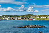 Marguerite Bay in St. Anthony, Newfoundland, Canada, North America