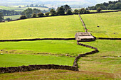 Field Barn and Dry Stone Walls in Crummack Dale, Yorkshire, England, United Kingdom, Europe