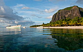 Late afternoon reflections of Le Morne Brabant and palm trees in the sea, Le Morne Brabant Peninsula, south west Mauritius, Indian Ocean, Africa