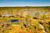 Viru Bog (Viru Raba) peat swamp, Lahemaa National Park, Harjumaa, Laane-Virumaa, Estonia, Baltic States, Europe