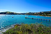 Little boats in the Akaroa harbour, Banks Peninsula, Canterbury, South Island, New Zealand, Pacific