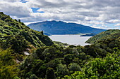 View over Lake Rotomahana, Waimangu Volcanic Valley, North Island, New Zealand, Pacific