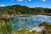 Frying Pan Lake,the largest hot spring in the world, Waimangu Volcanic Valley, North Island, New Zealand, Pacific