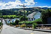Baldwin Street, the world's steepest residential street, Dunedin, Otago, South Island, New Zealand, Pacific