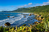 The untouched west coast of South Island between Greymouth and Westport, West Coast, South Island, New Zealand, Pacific